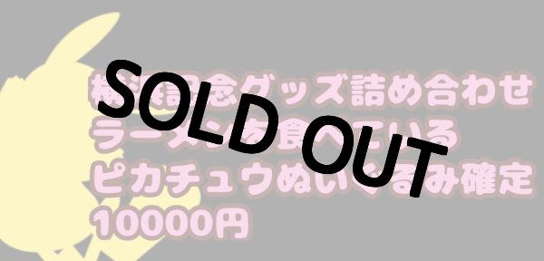 画像1: 横浜記念グッズ詰め合わせ　ピカチュウぬいぐるみ確定10000円 (1)